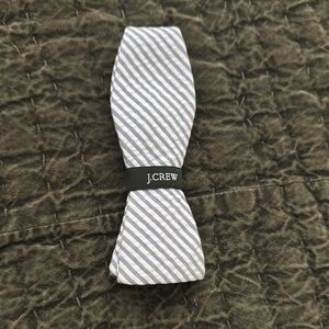 J. Crew Boys Blue and White Striped Ludlow Bow Tie